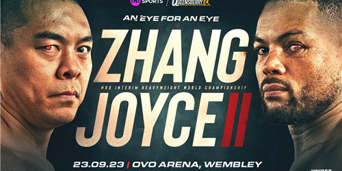 Zhang v Joyce II  An Eye for an Eye